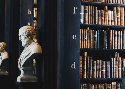 Bibliothèque juridique et buste en plâtre